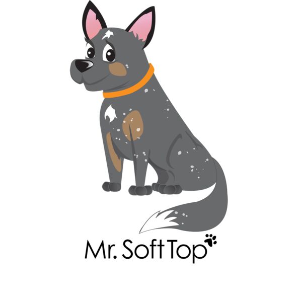 Cooper the Blue Heeler Thumbnail